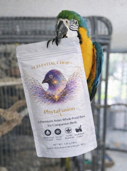 Start Here If You’re Tired of Hustle Culture